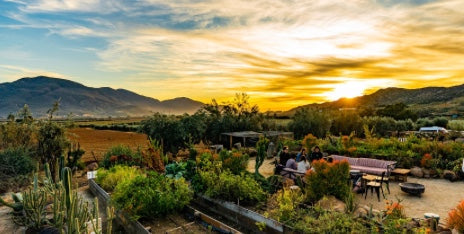 A Journey Through Valle de Guadalupe, Mexico - Wine Country