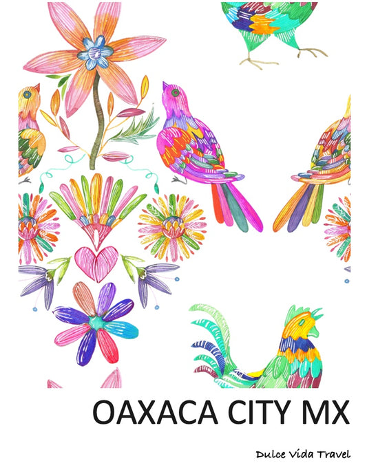 Amigas Guide to Oaxaca City MX