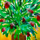 Art Retreat  San Miguel de Allende MX